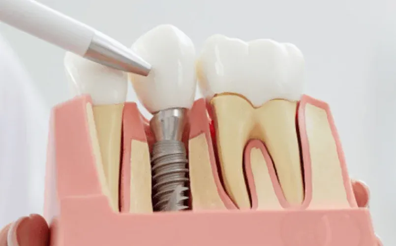 Smiling dentist