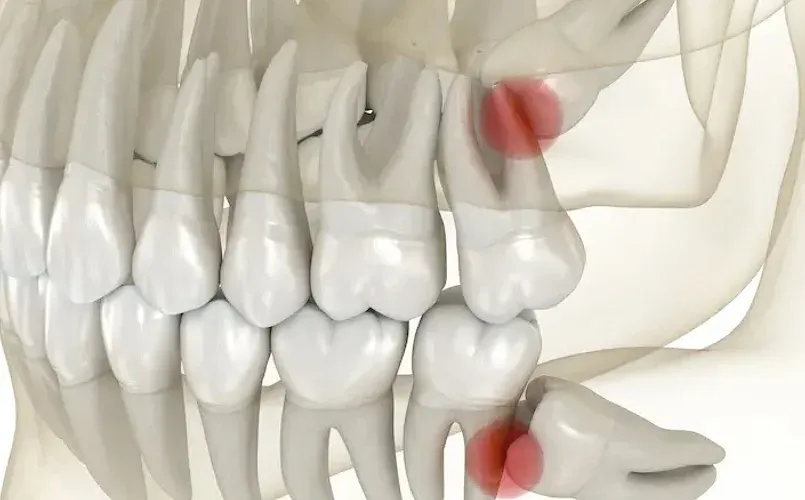 Smiling dentist